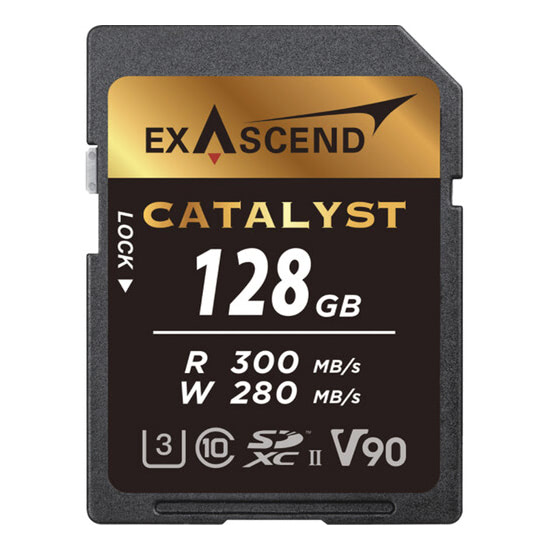 Exascend SD Catalyst V90 цена