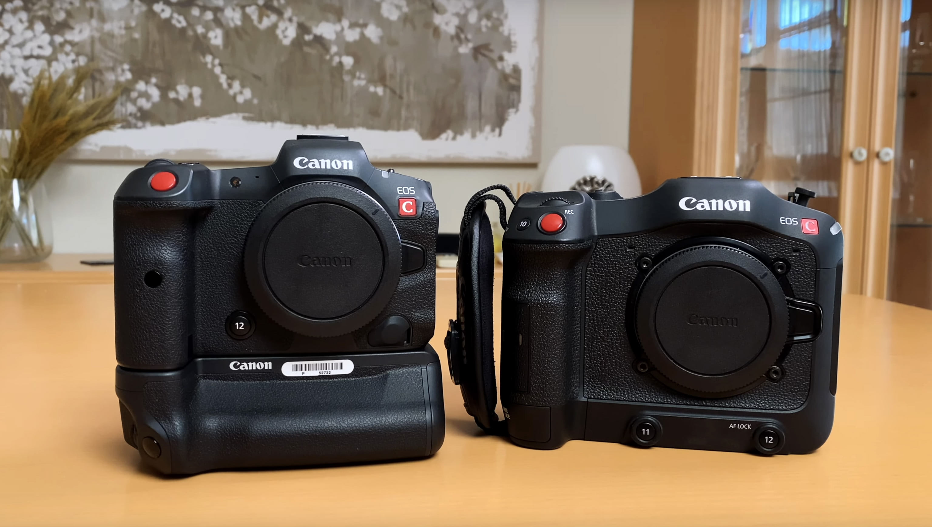 Глобальное сравнение Canon R5C и Canon C70!