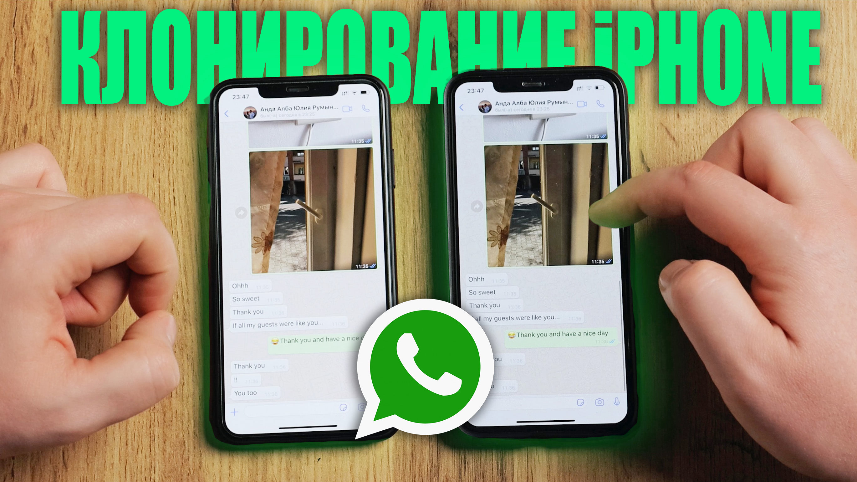 Как скопировать всю историю WhatsApp на другой iPhone с другим номером телефона? Без iCloud